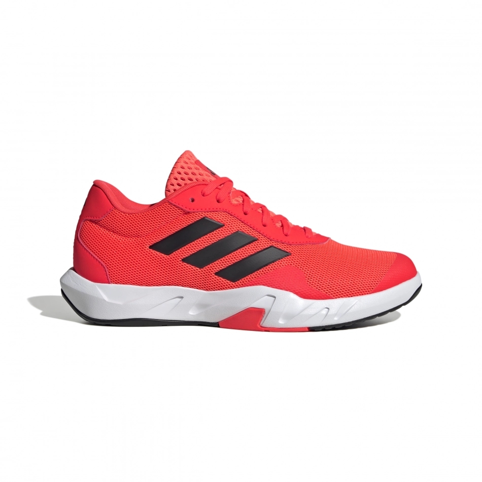 demo